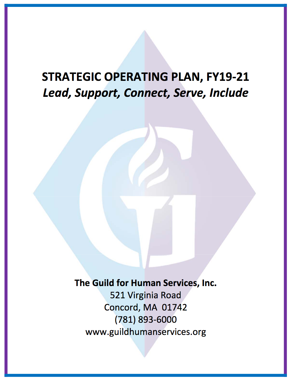 Strategic Operating Plan 