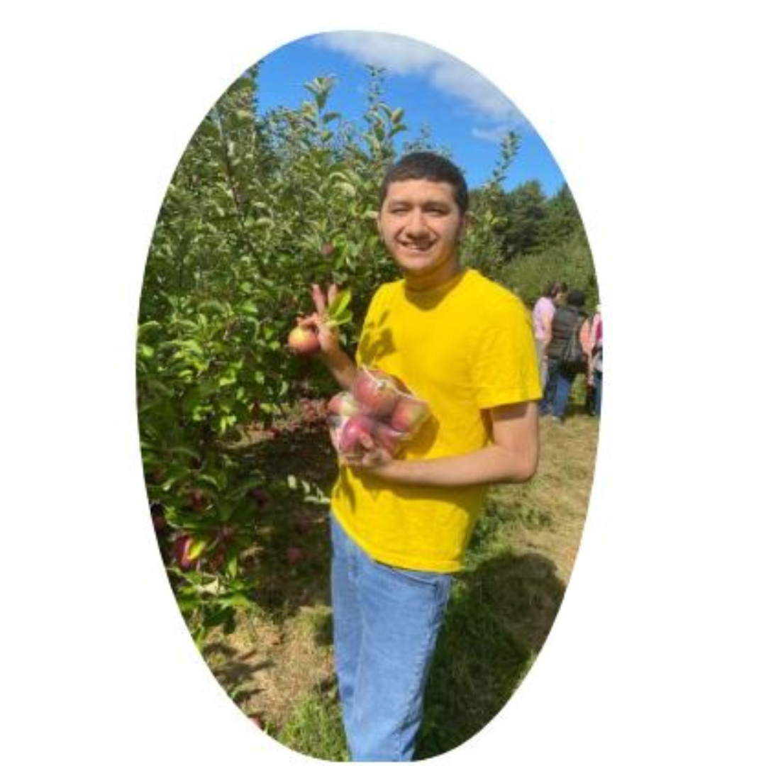 Apple picking