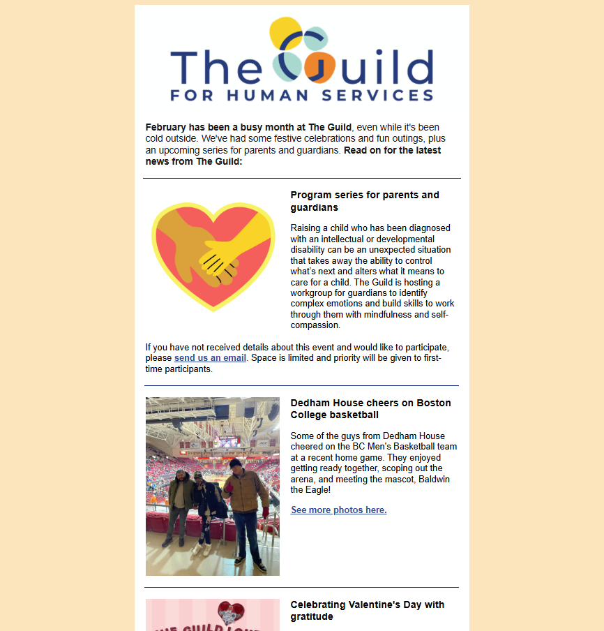Screenshot of February 2025 newsletter at a glance