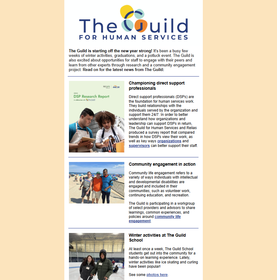 Screenshot of January 2025 newsletter at a glance