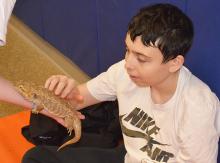 Student pets baby alligator