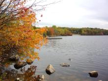 The lake at Hale with an orange and yellow tree on the left-hand side 
